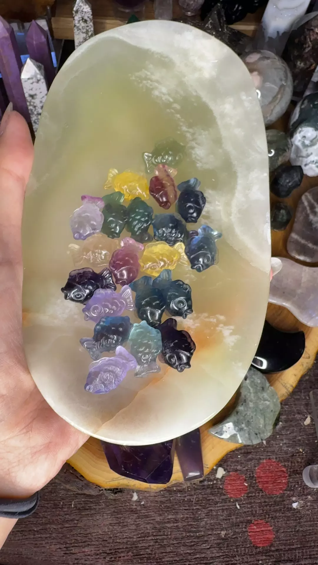 plant/Mini flourite goldfish-0