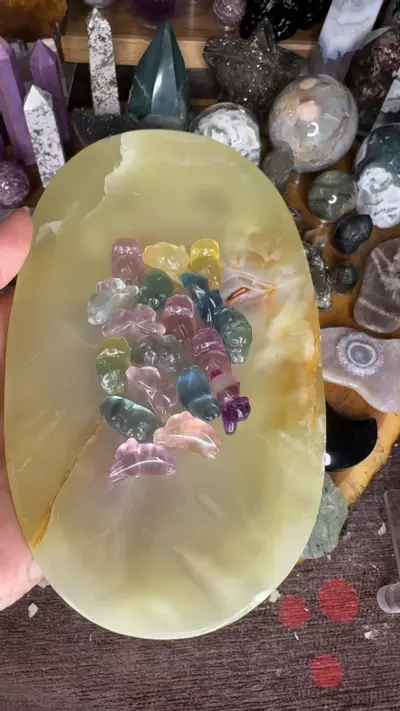 plant/Mini flourite cat-0-thumbnail