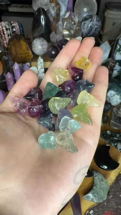 plant/Mini flourite Raven skull-0-thumbnail