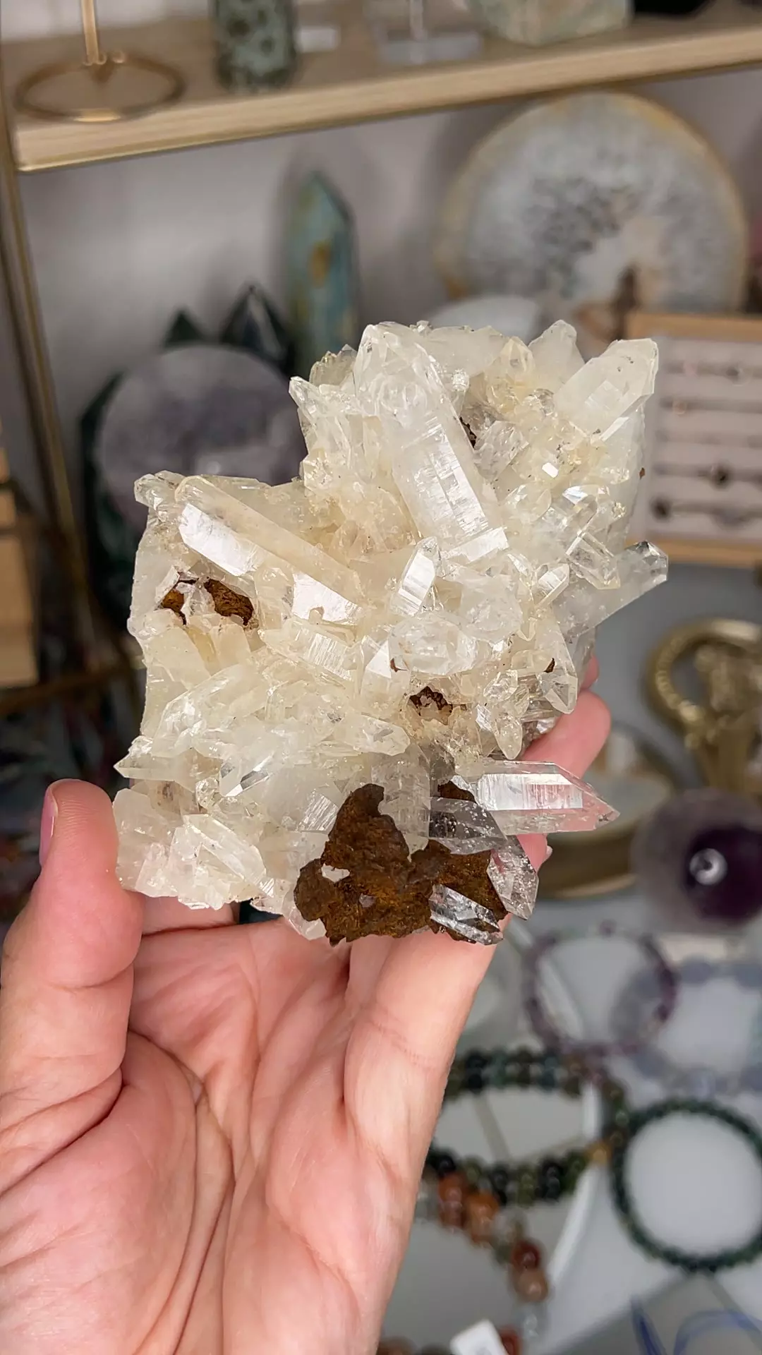 plant/Columbian Quartz w Goethite $111-0