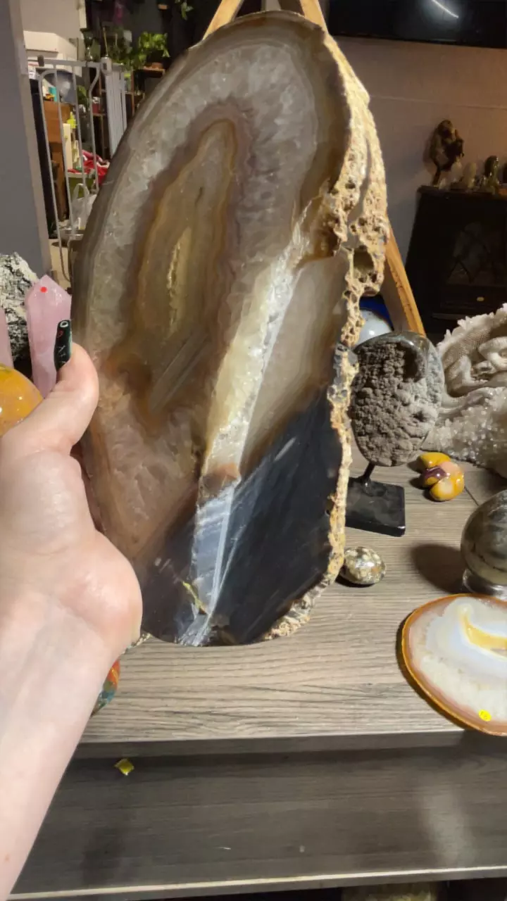 plant/Brazil Agate on Stand-4