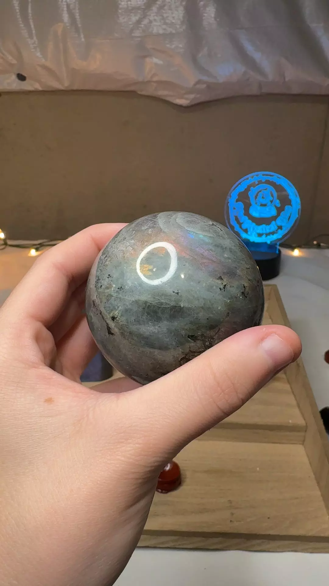 plant/63mm Labradorite Sphere-0