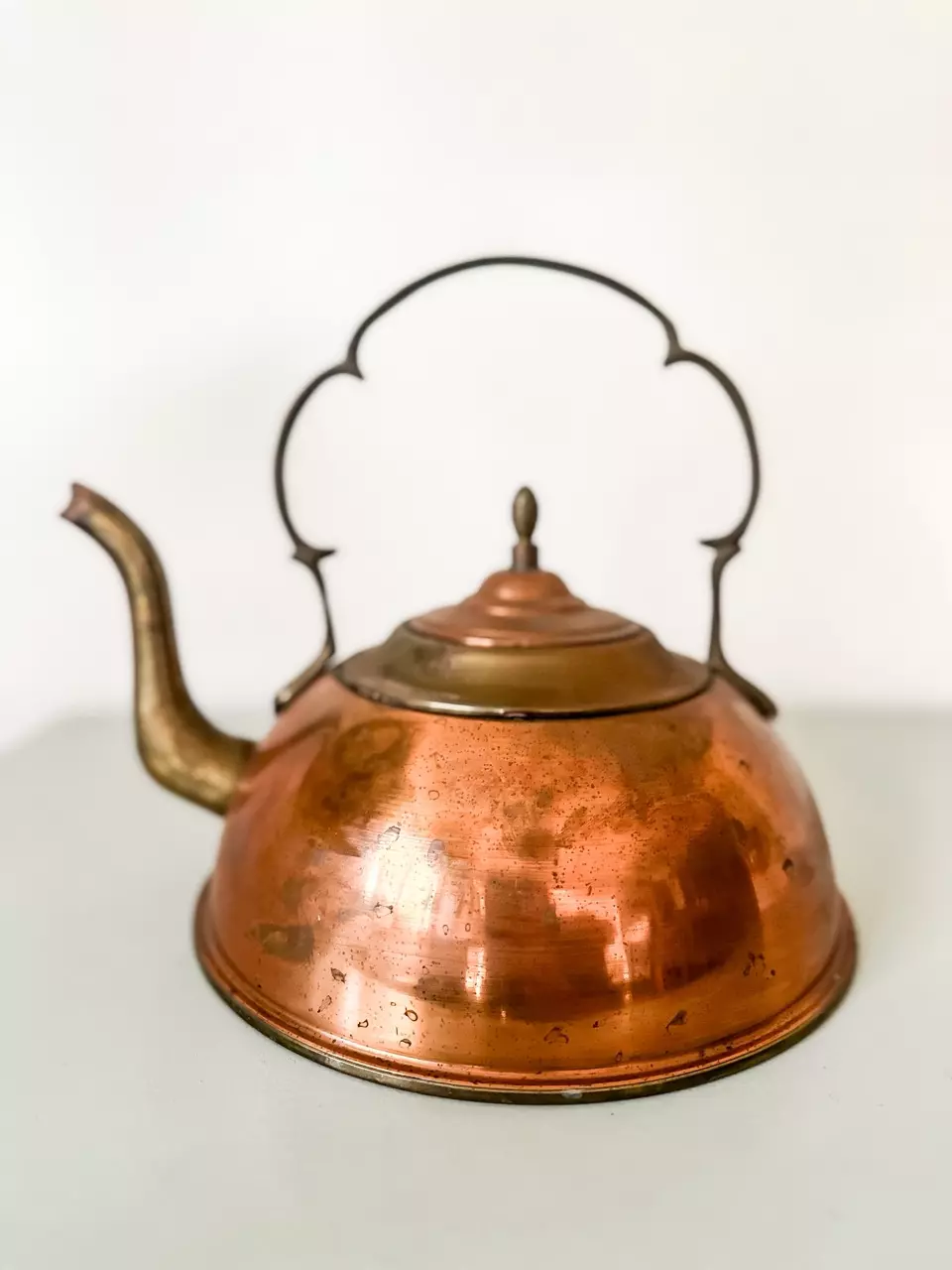 plant/Vintage copper kettle-0