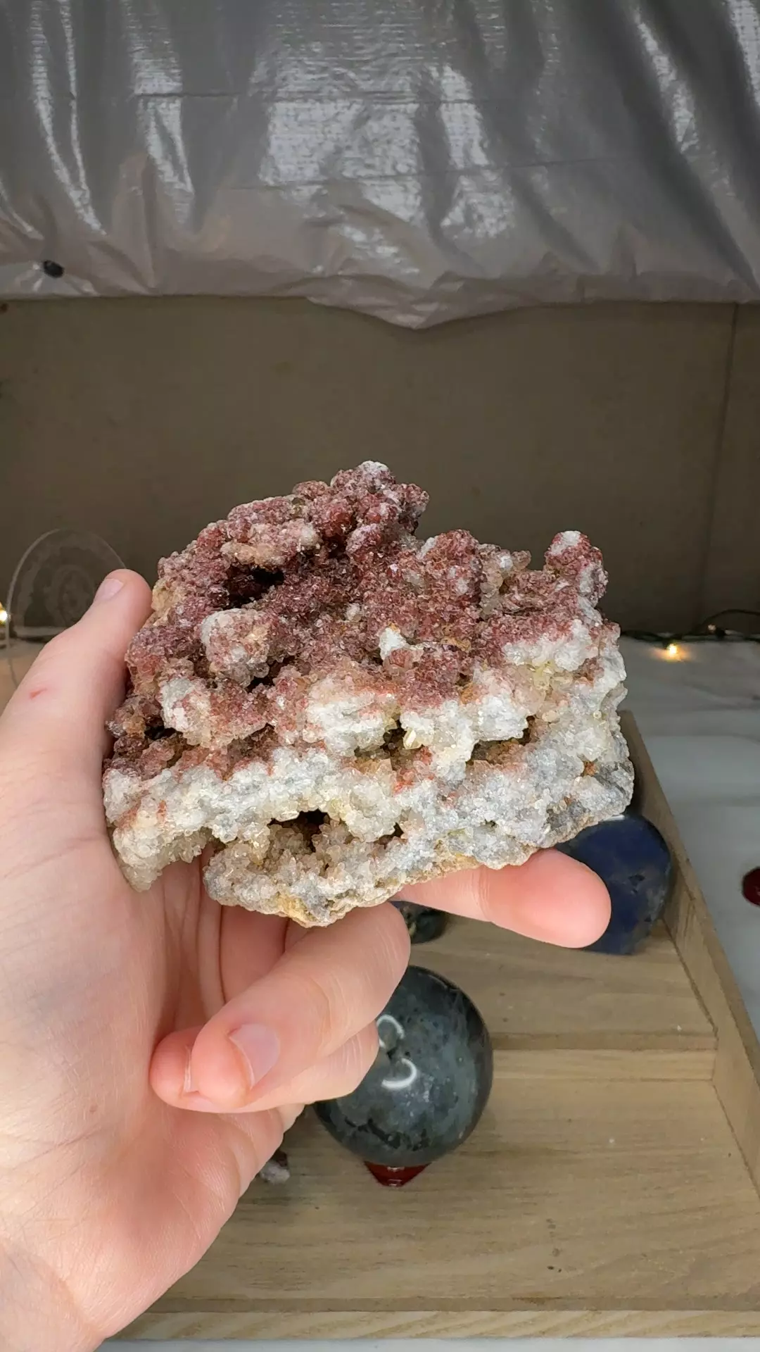 plant/Hematoid Quartz 2-0