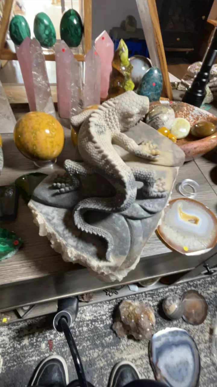 plant/Quartz Iguana-1
