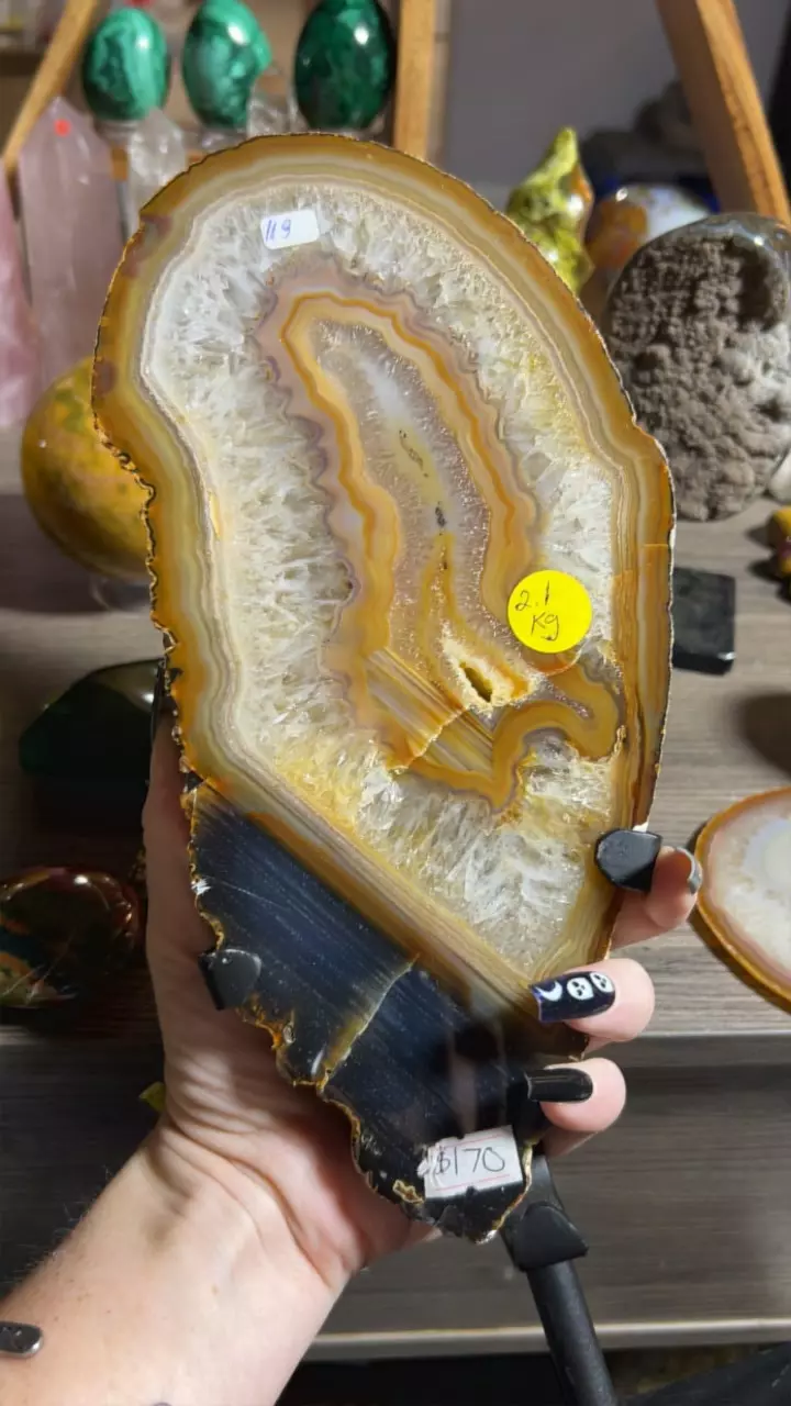 plant/Brazil Agate on Stand-1