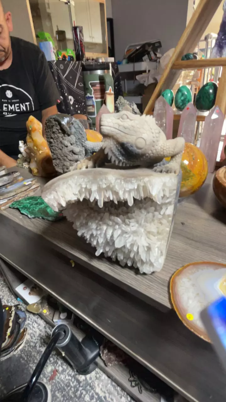 plant/Quartz Iguana-0