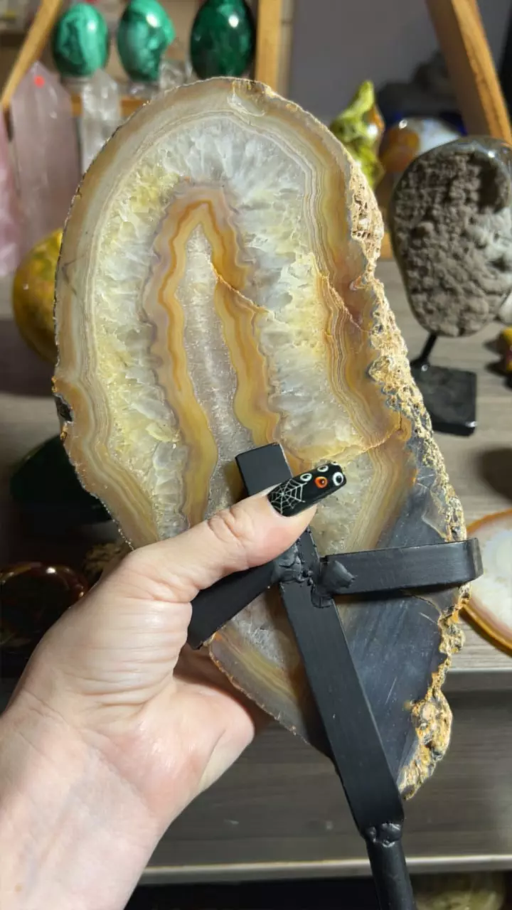 plant/Brazil Agate on Stand-3