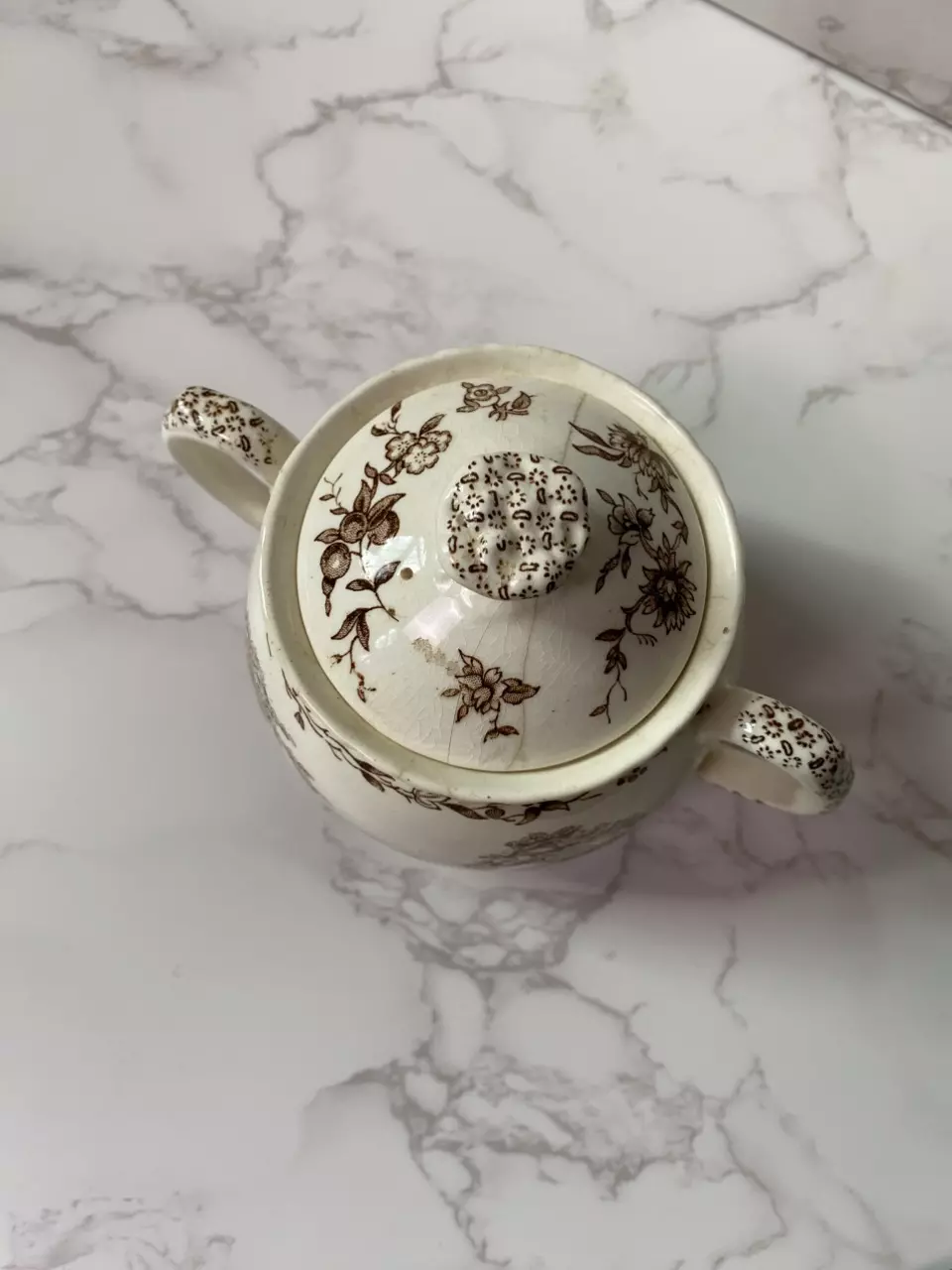 plant/Mason’s brown transferware sugar pot-1