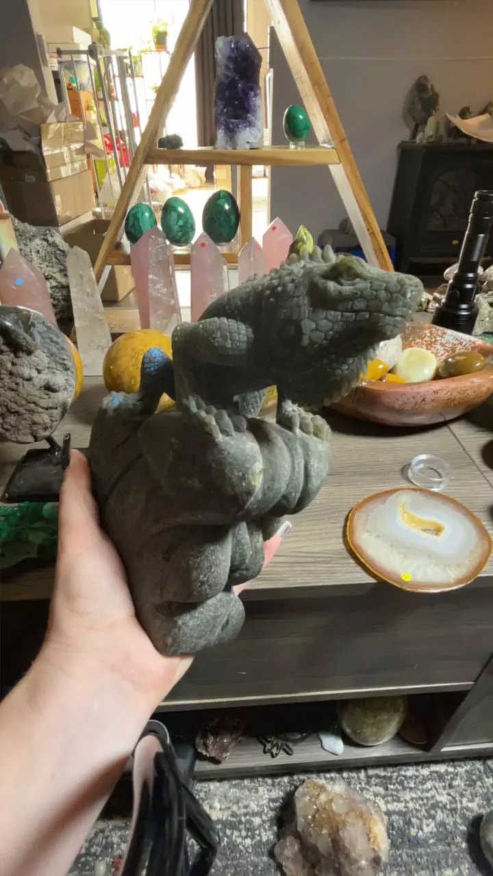 plant/Lab Iguana-1