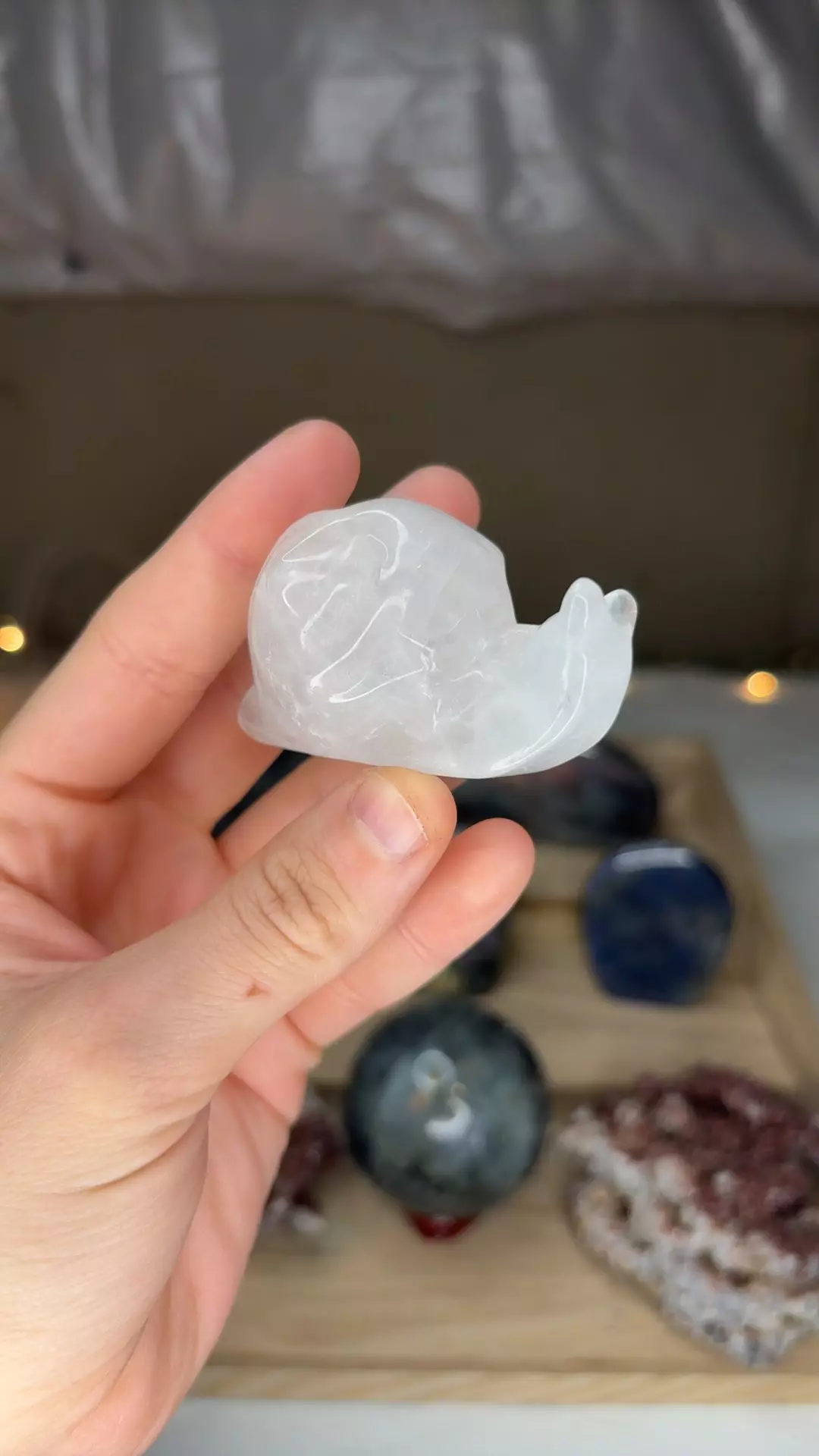 plant/Clear Quartz Snail-0