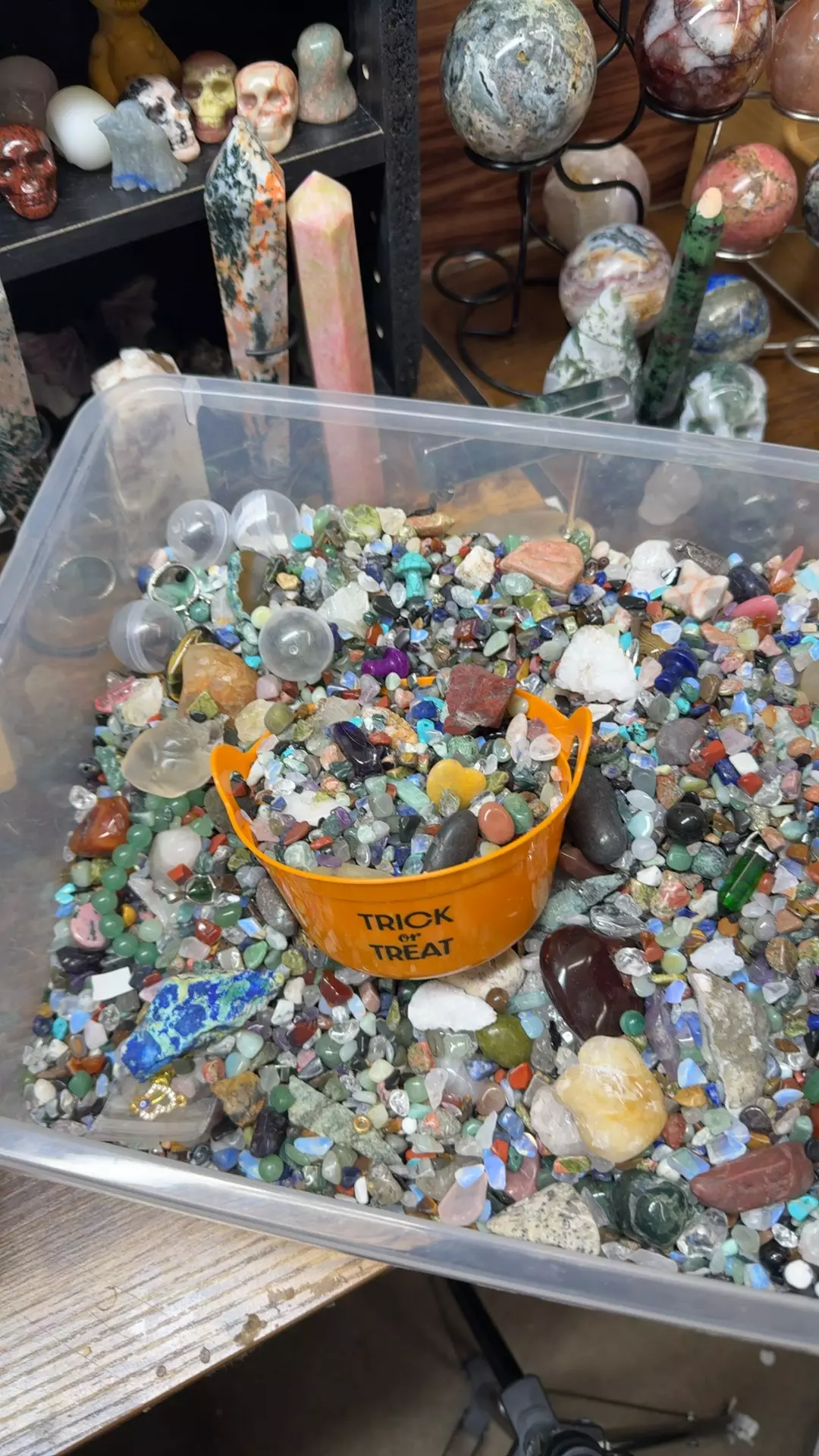 plant/Halloween confetti bucket-0