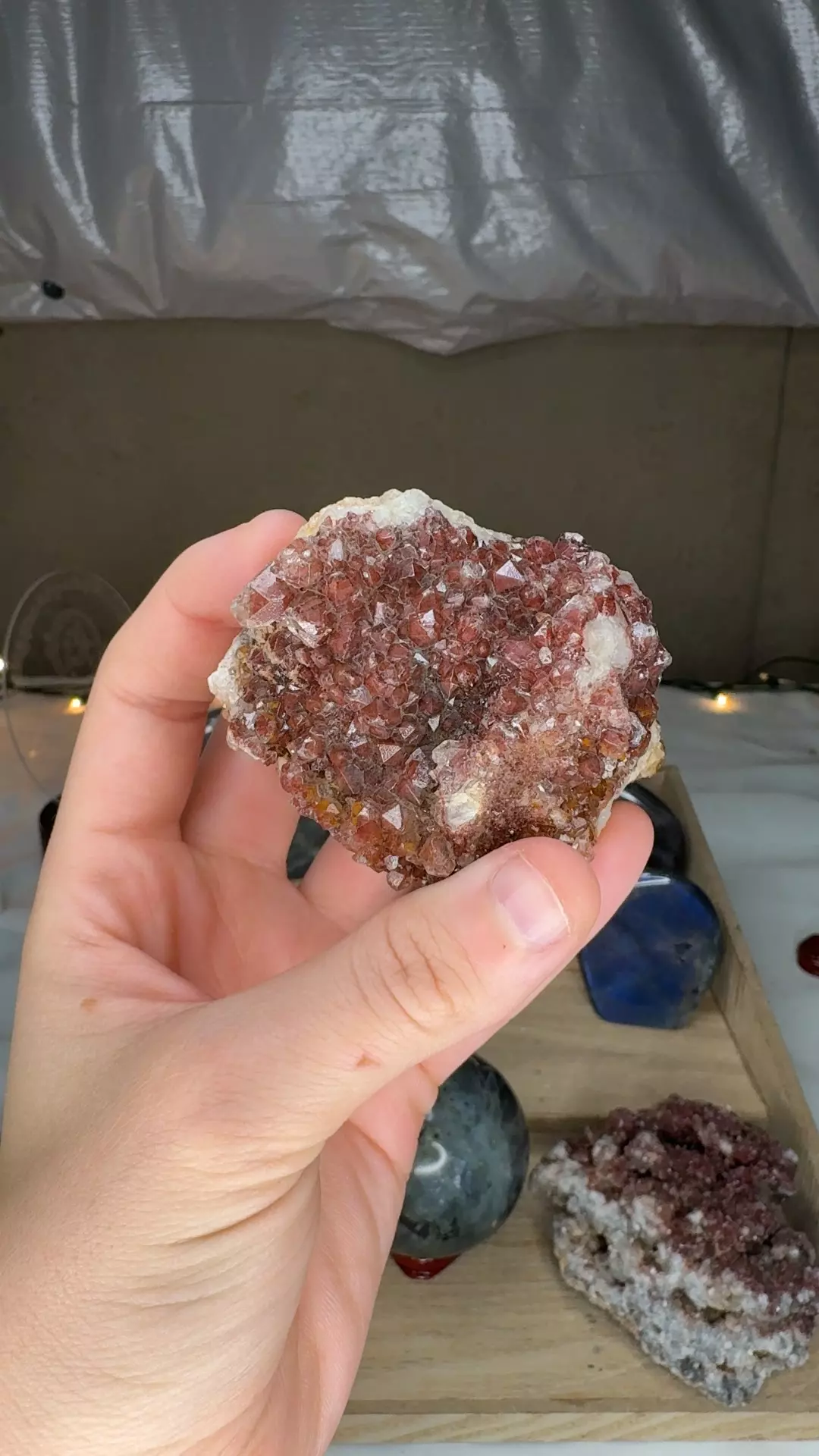 plant/Hematoid Quartz 3-0