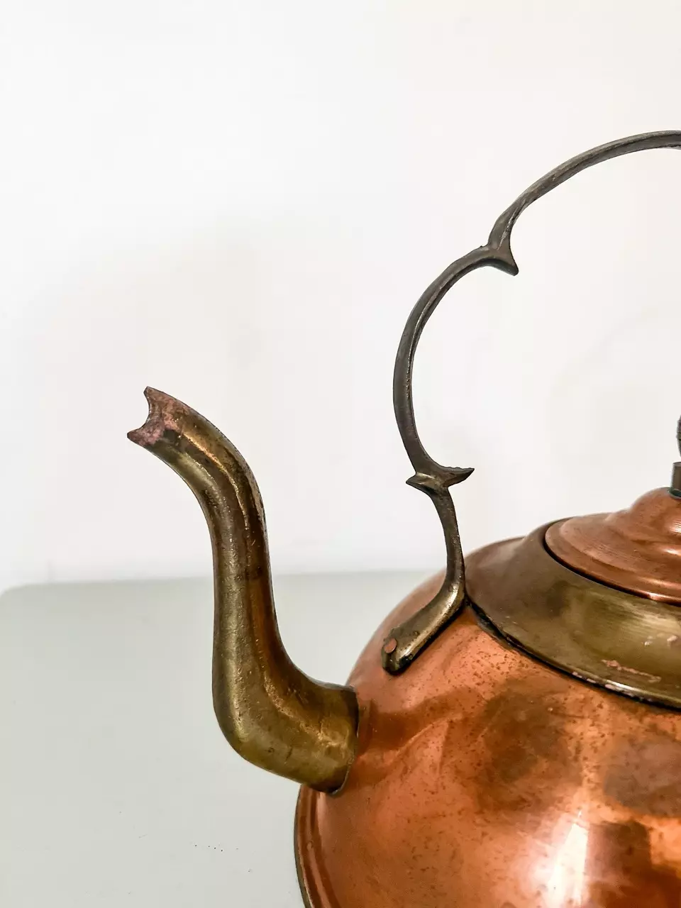 plant/Vintage copper kettle-2