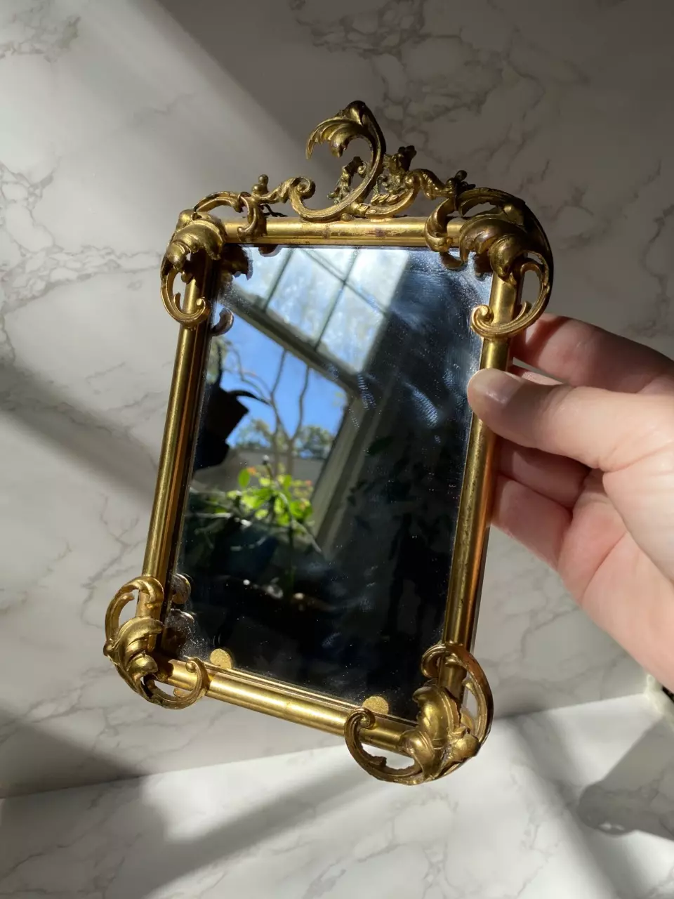 plant/ornate gold metal mirror-0