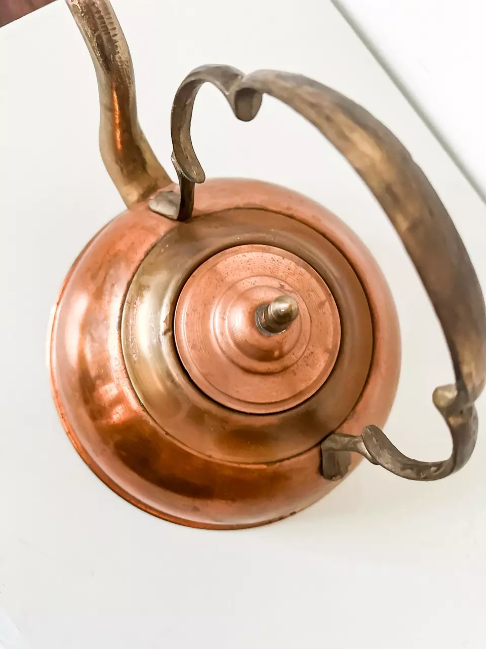 plant/Vintage copper kettle-1