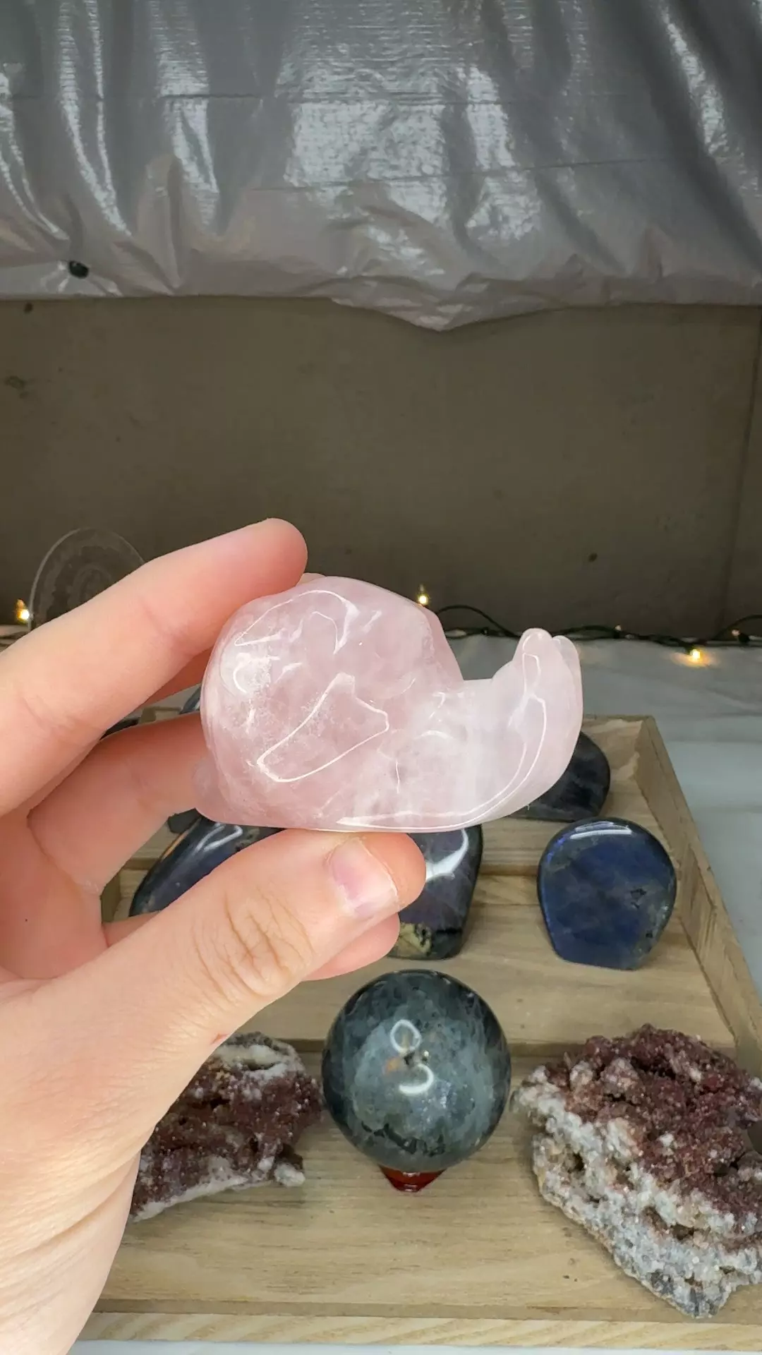 plant/Rose Quartz Snail-0