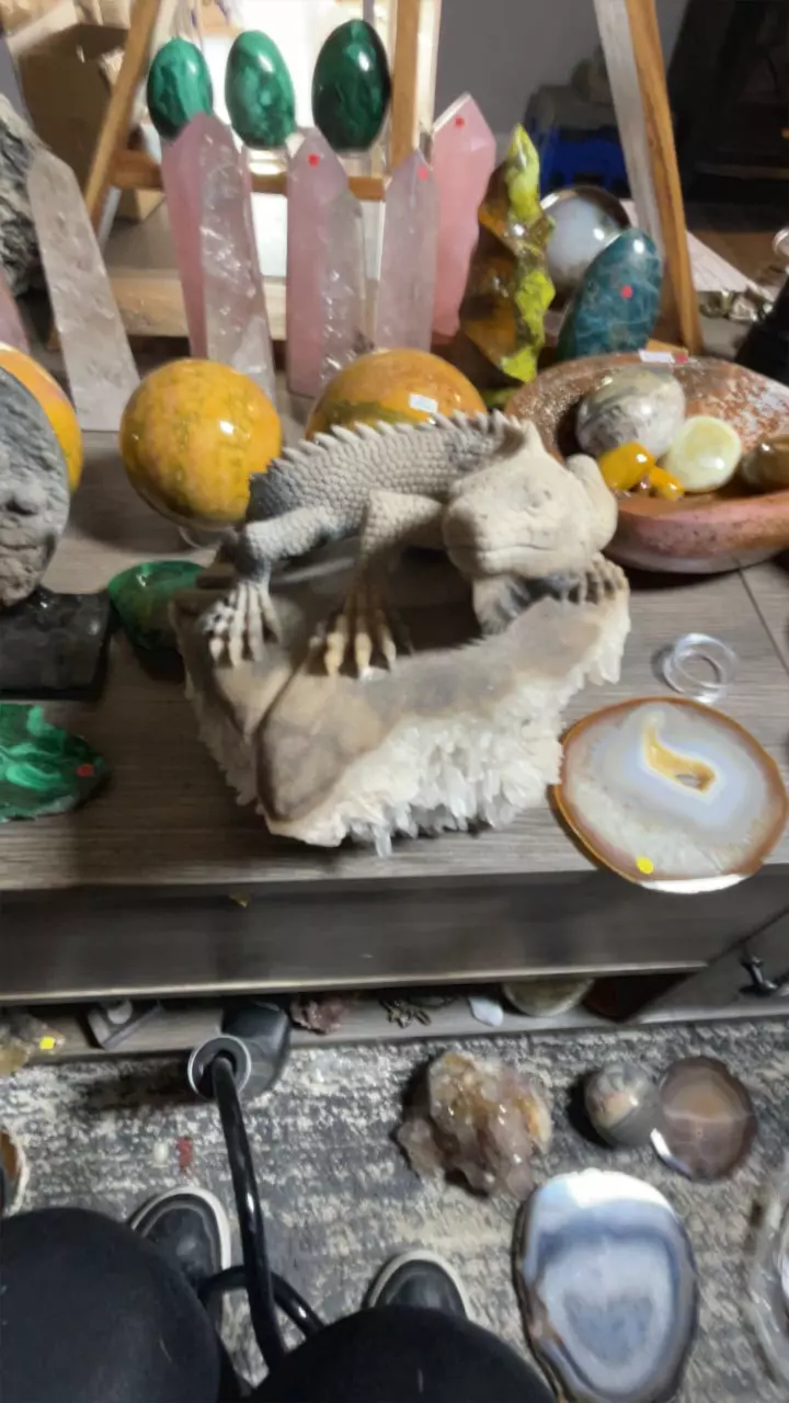 plant/Quartz Iguana-2