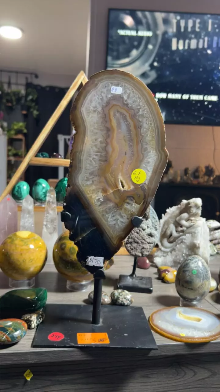 plant/Brazil Agate on Stand-0