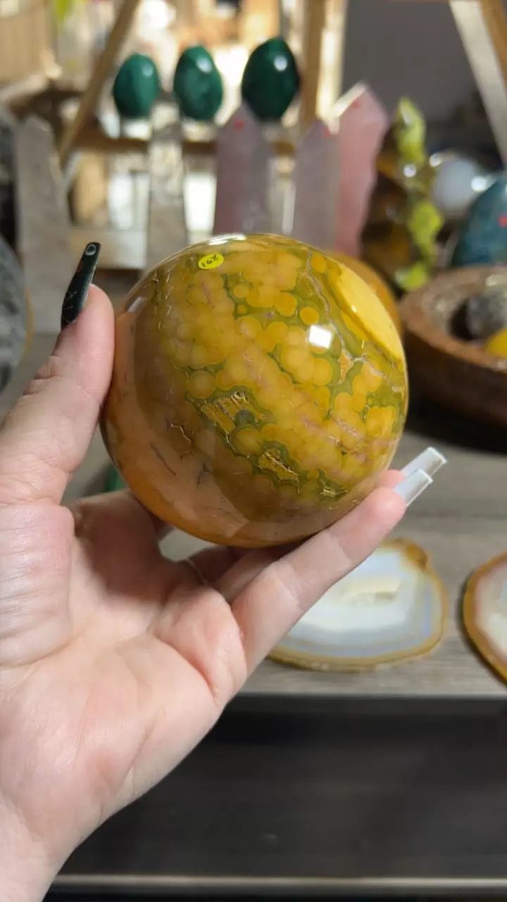 plant/Kabamby OJ Sphere-0
