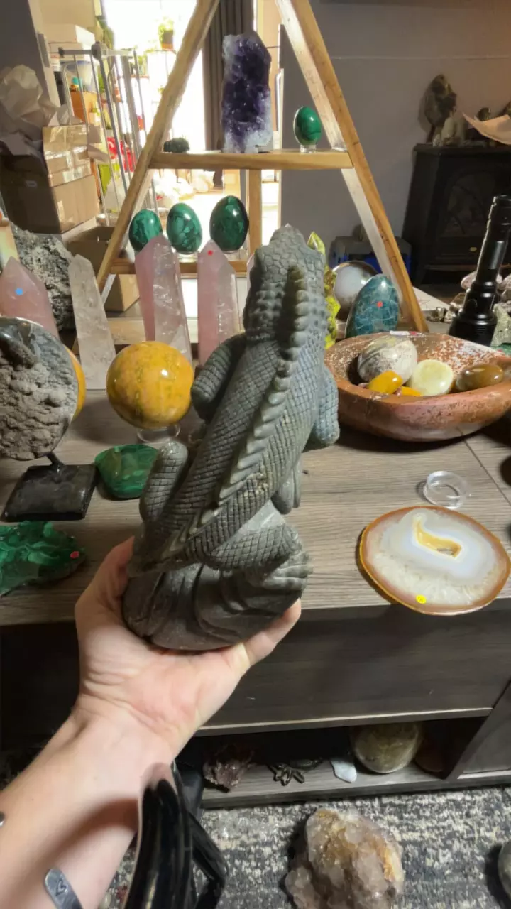 plant/Lab Iguana-2