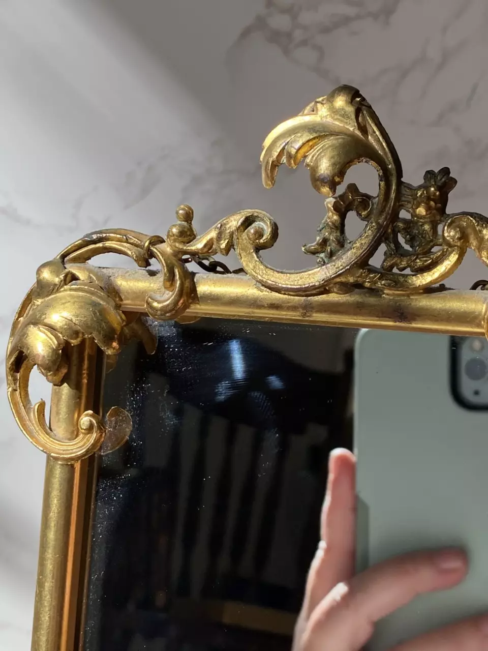 plant/ornate gold metal mirror-1