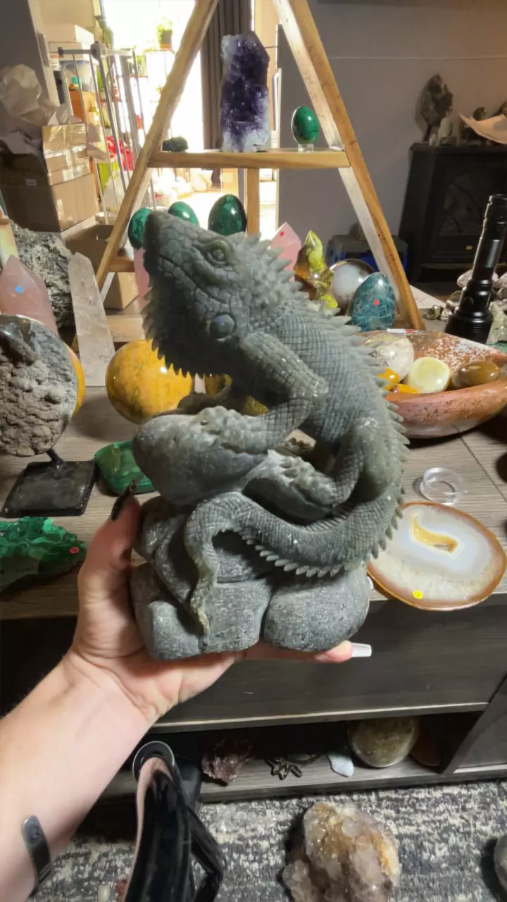 plant/Lab Iguana-0