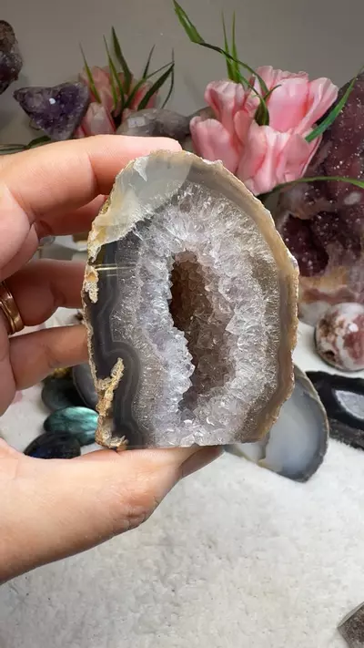 plant/Agate cut base L808-0-thumbnail