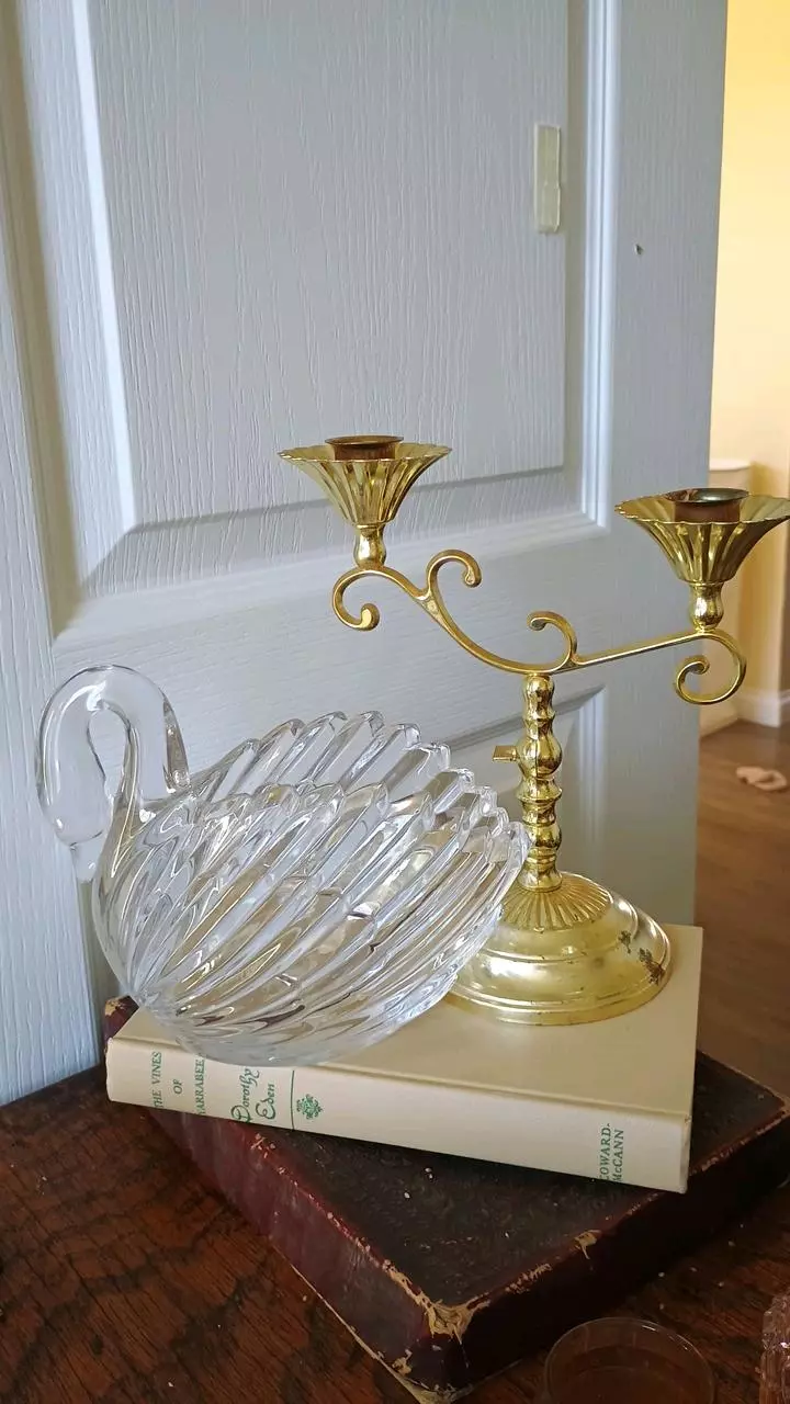 plant/Clear Swan Planter-1