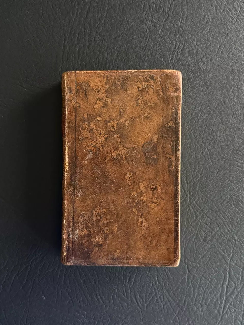 plant/Antique Full Leather French Book 1802-0