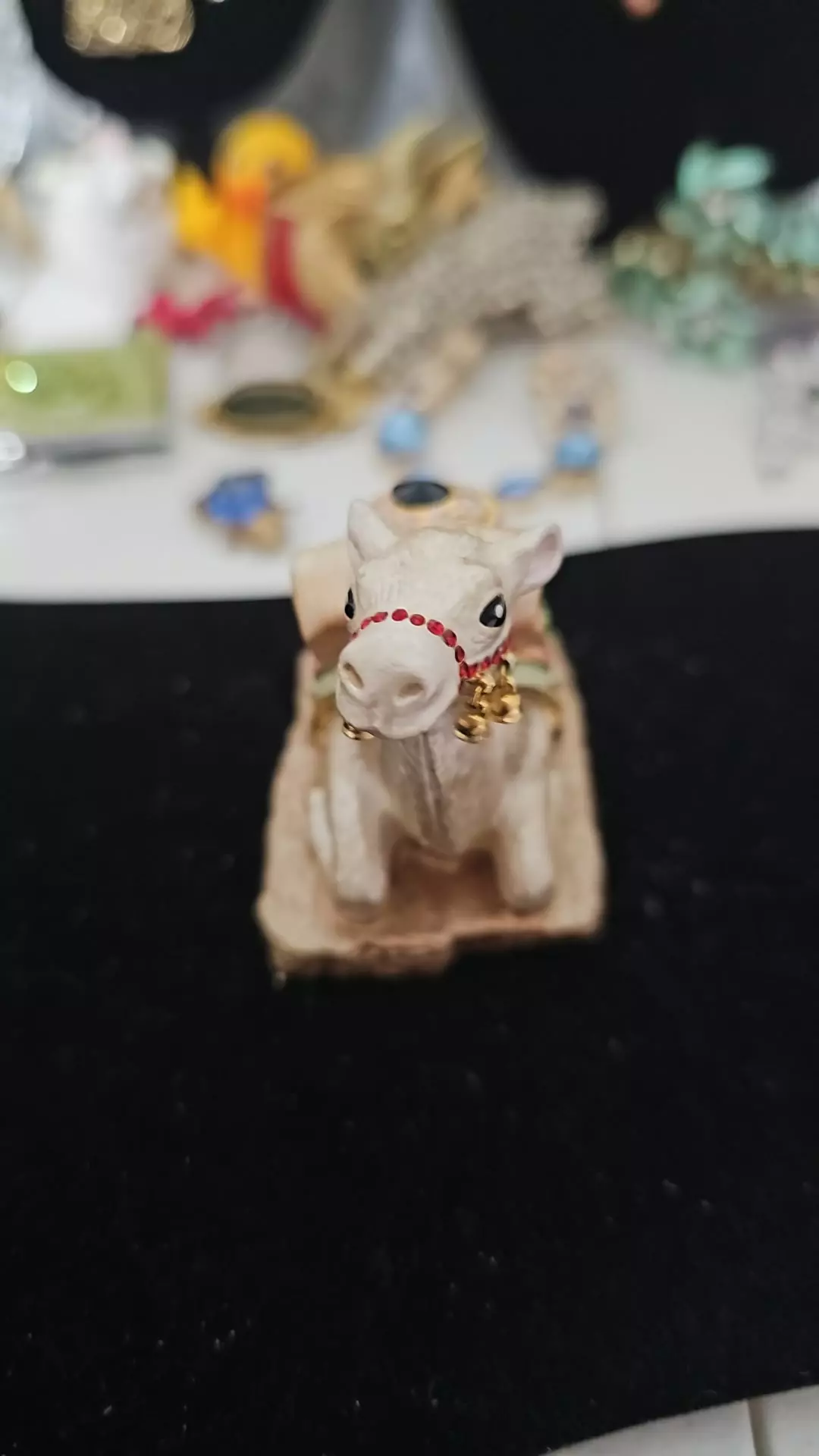 plant/camel trinket box-0