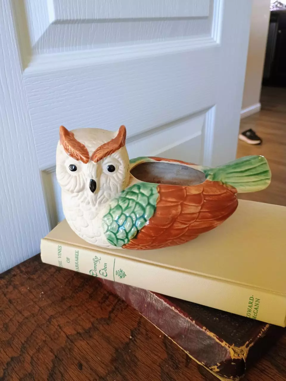 plant/Owl Planter-0