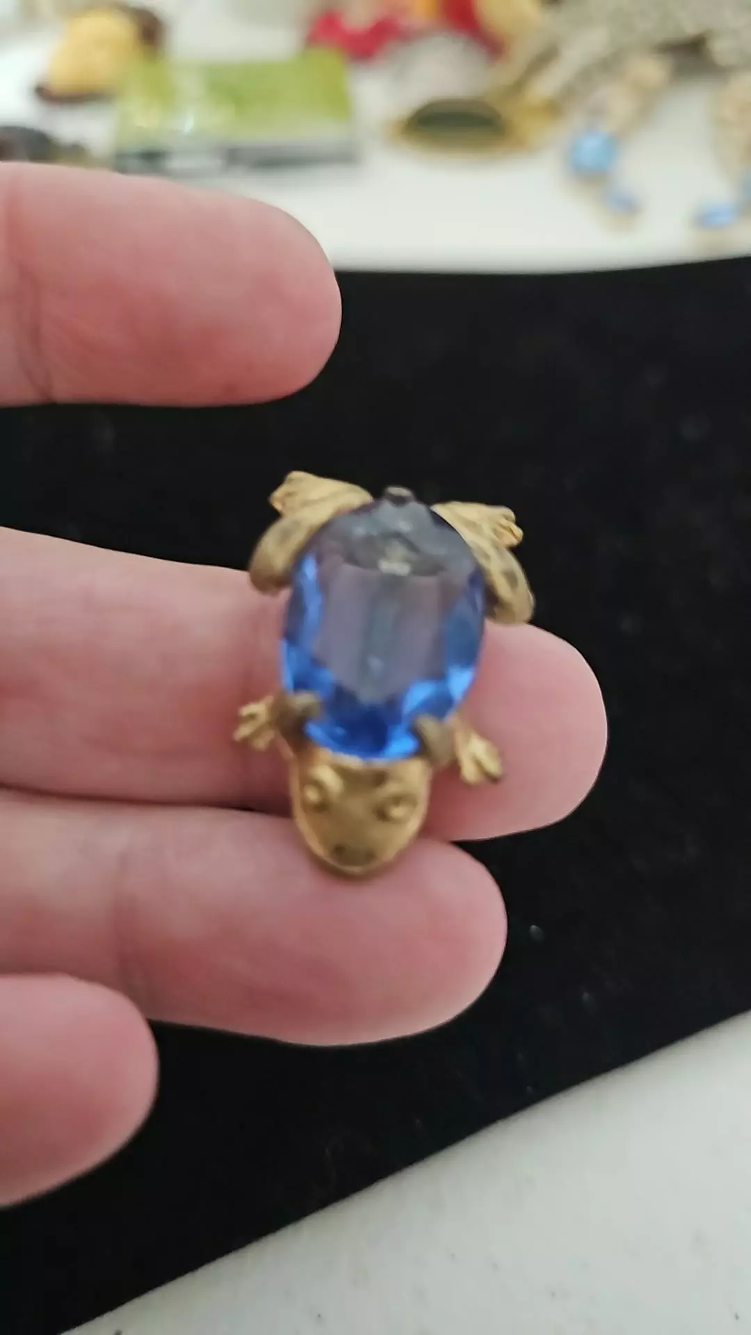 plant/Frog brooch-0