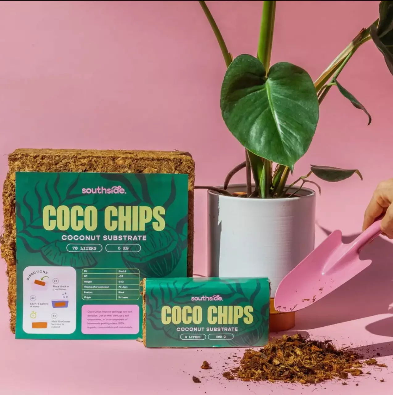 plant/✨ “The Rooted Growth Collection” – Southside Edition ✨-3