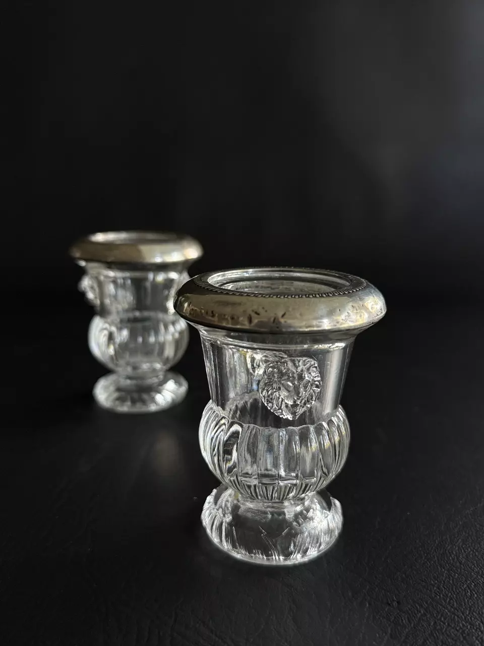plant/Glass Matchstick/Toothpick Holder with Silverplate Rim & Lion Detail-4