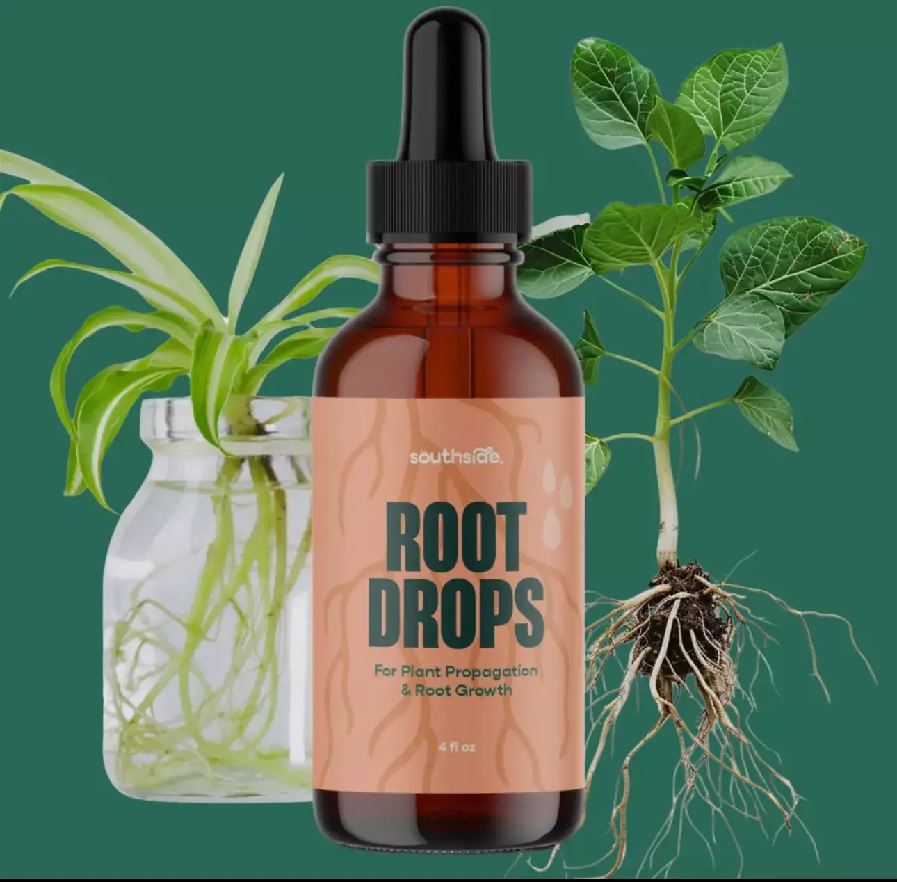 plant/✨ “The Rooted Growth Collection” – Southside Edition ✨-0