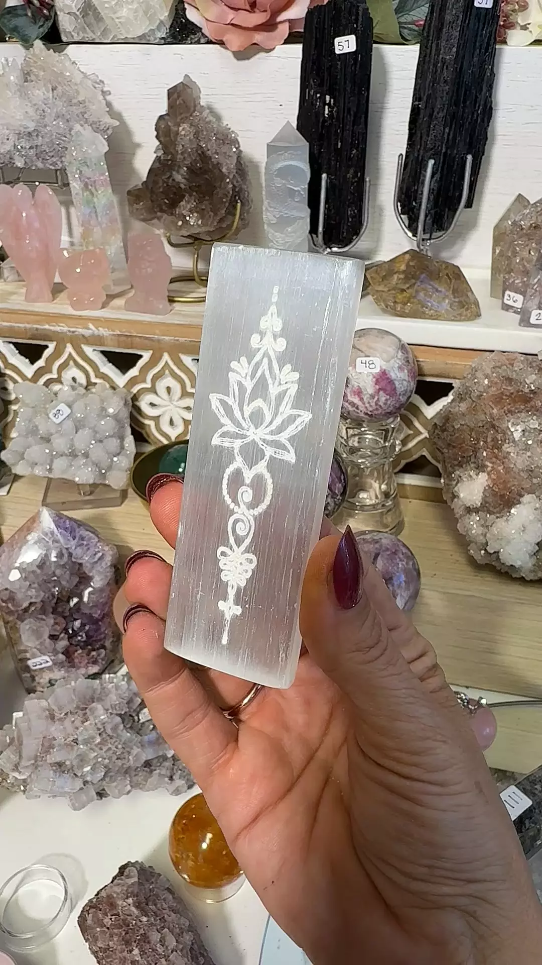 plant/Selenite Charging Plate-0