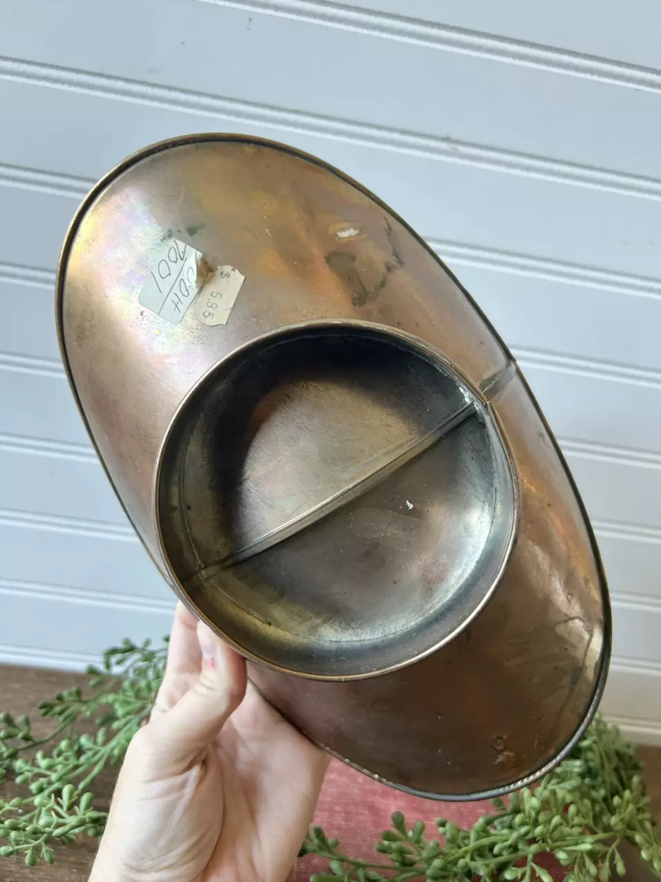 plant/Brass coal scuttle-2