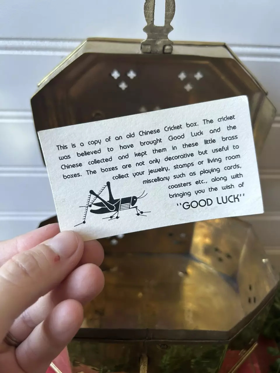 plant/Marge brass cricket box-4