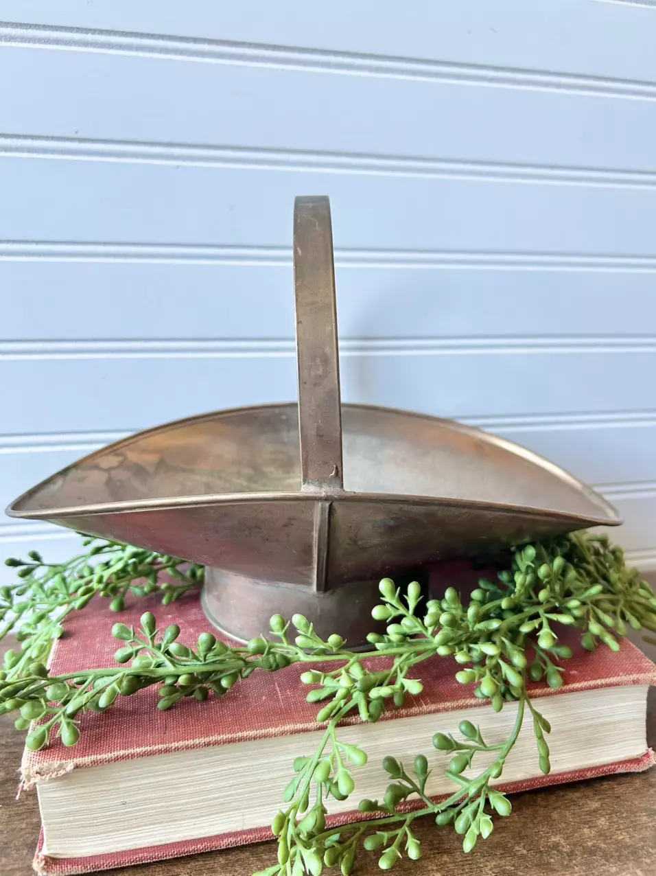 plant/Brass coal scuttle-0