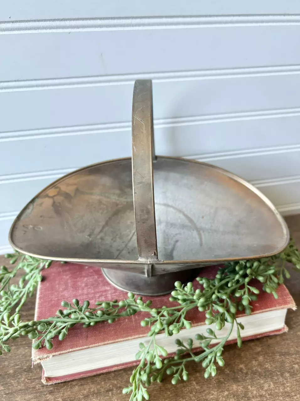 plant/Brass coal scuttle-1