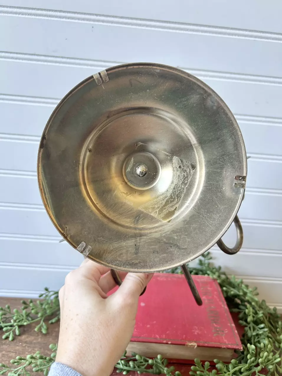 plant/brass wall sconce-1