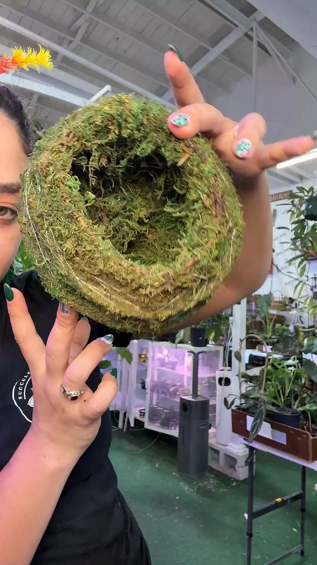 plant/5” kokedama-0