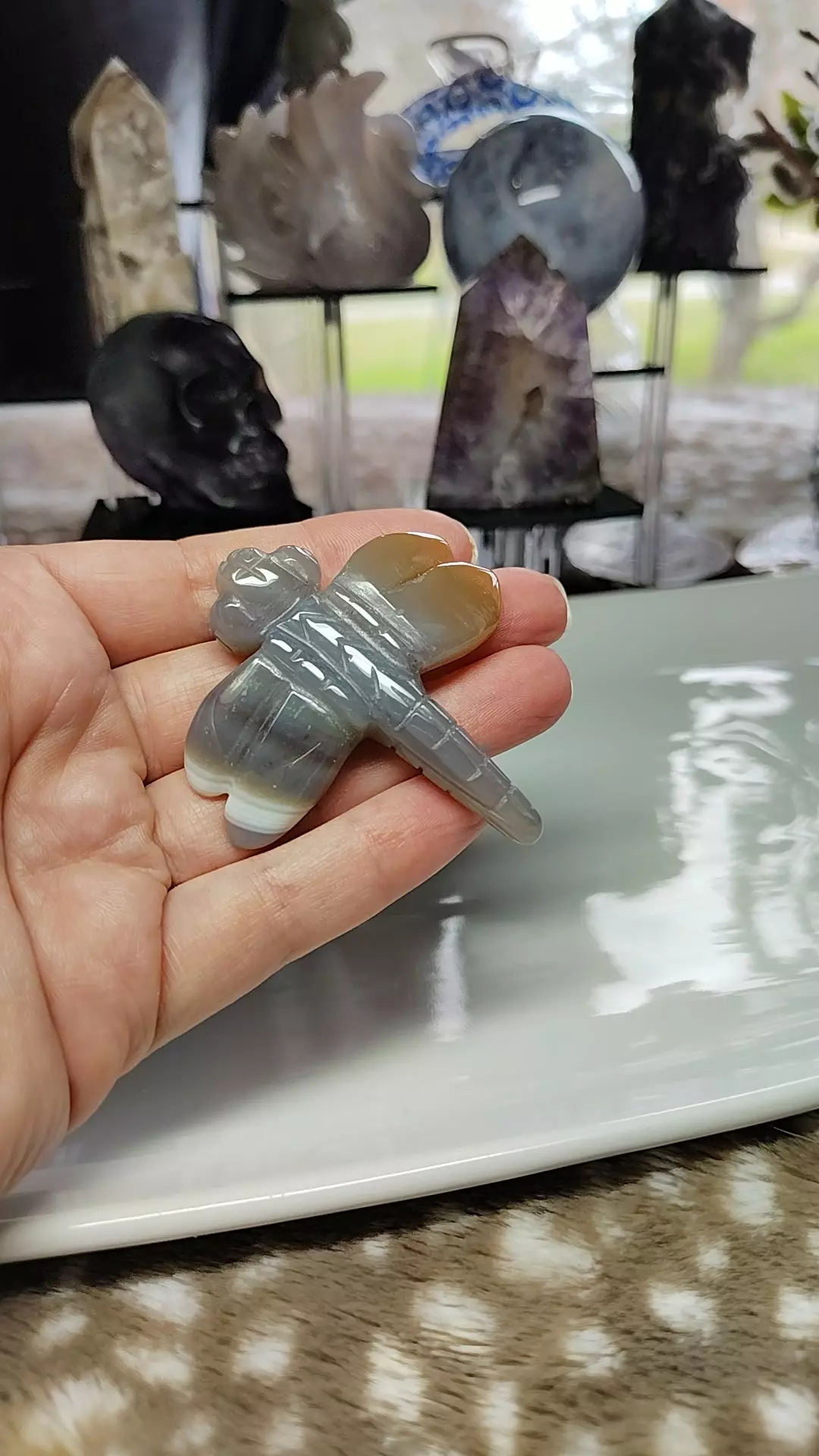 plant/Agate dragonfly-0