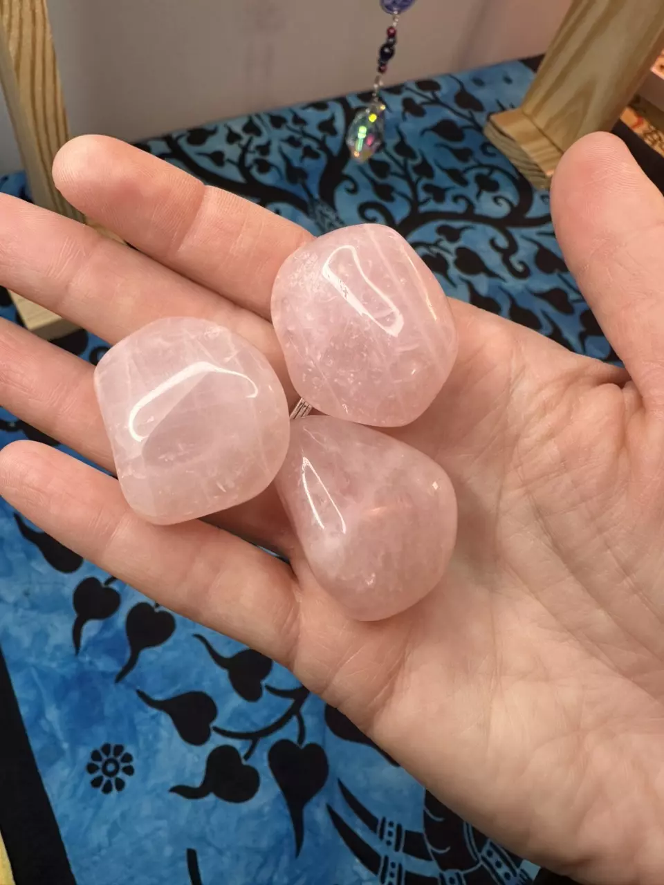 plant/Brazilian Rose Quartz tumbles-0