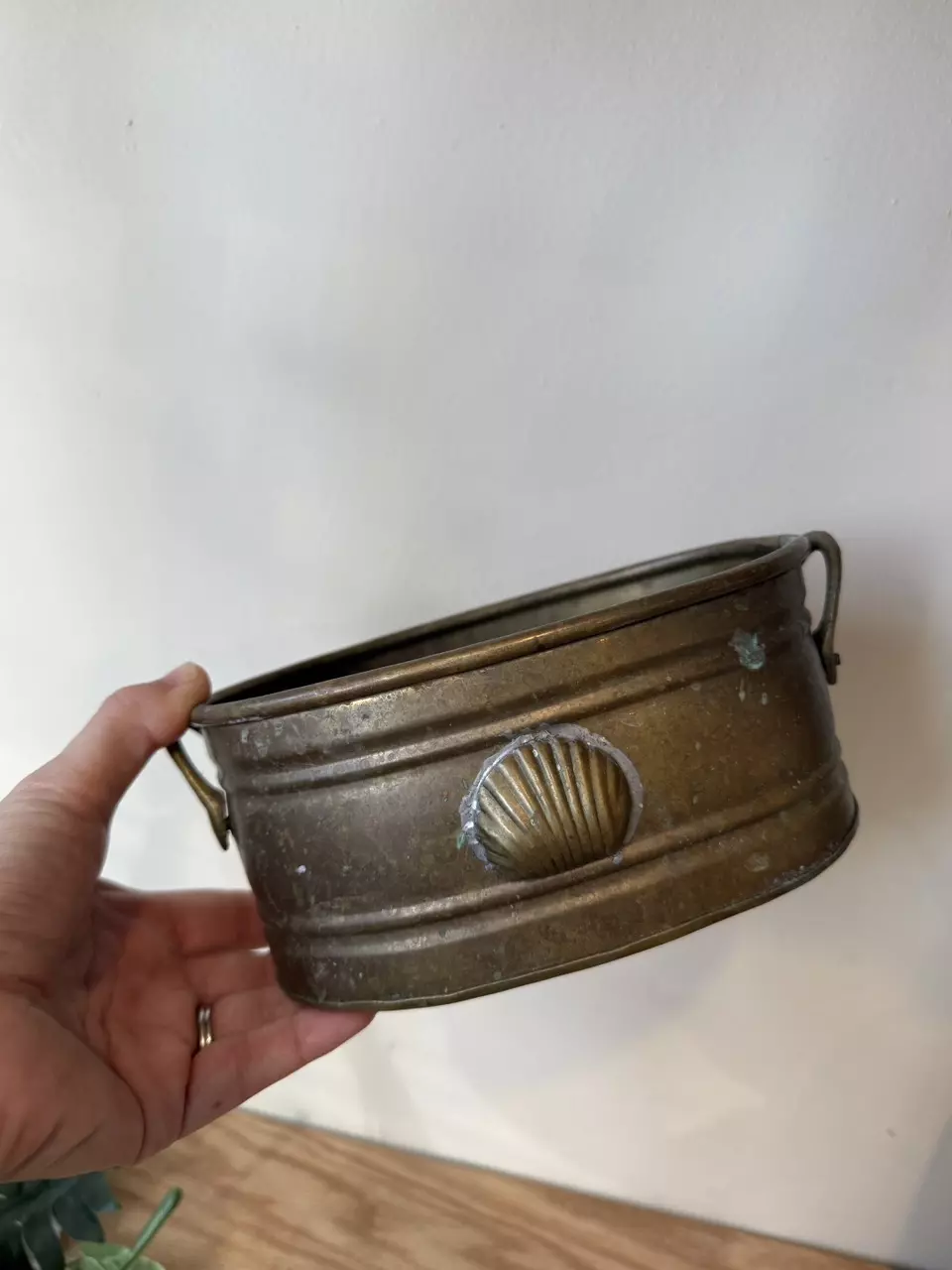 plant/Brass vessel with shell-0