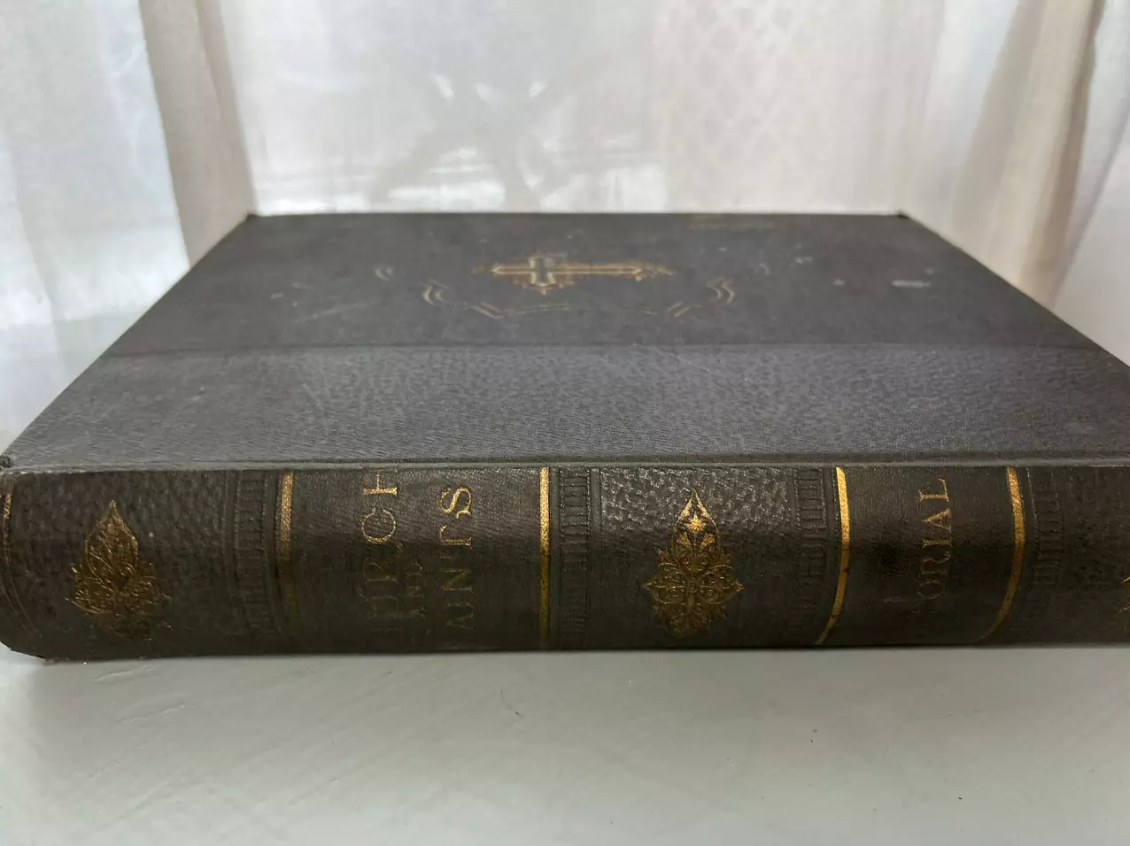 plant/Antique “Churches and Saints Pictorial” – Illustrated Architectural Book (c. 189-0