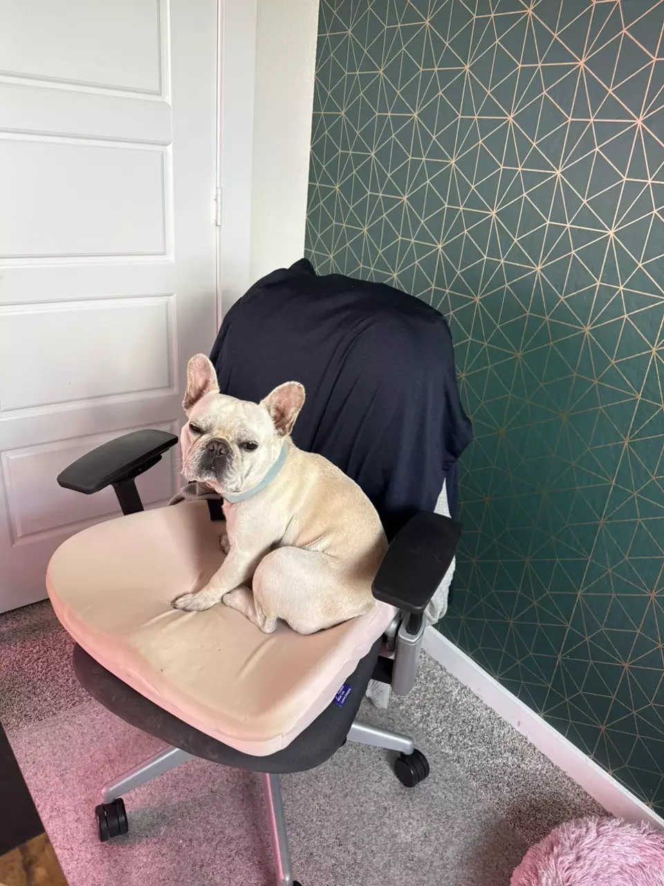 plant/heat pack add on-0