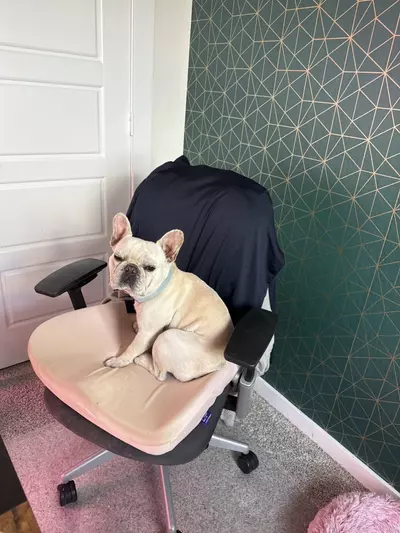 plant/heat pack add on-0-thumbnail