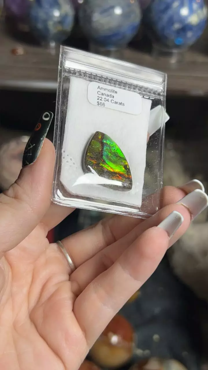 plant/Ammolite Cab-0
